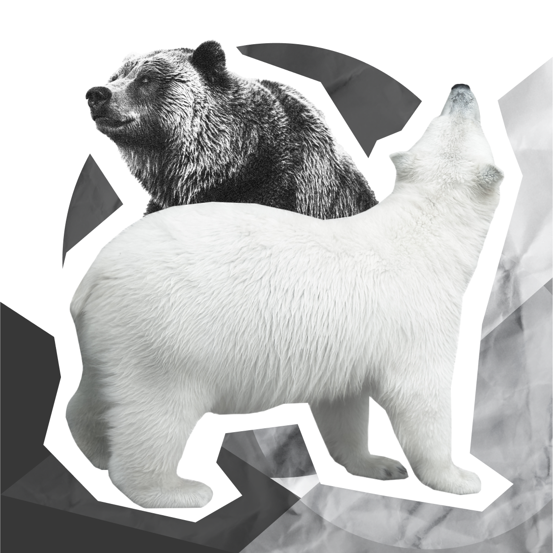 Отличие коррекции от медвежьего рынка
