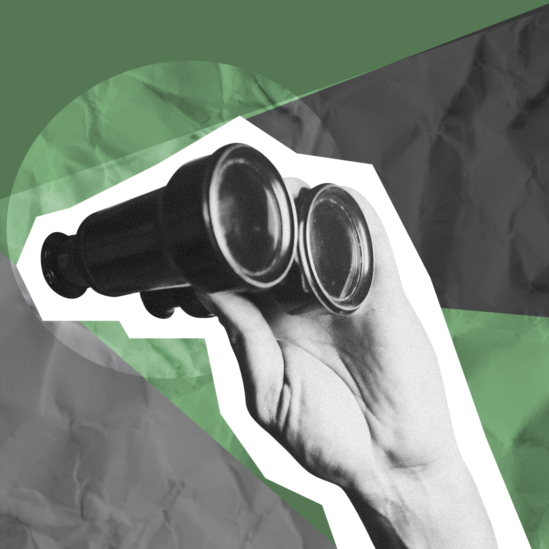 Какие дивиденды бывают и зачем следить за акционерами