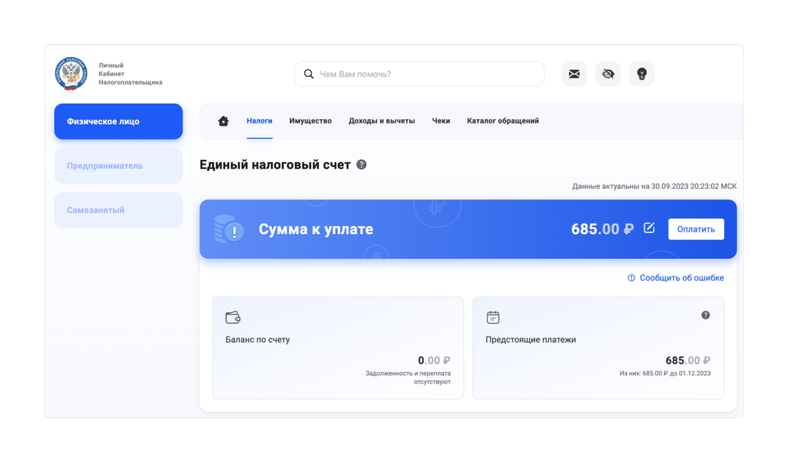 Как оплатить налоги с енс. Как оплатить налоги с енс