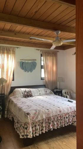 1 фото отеля "Manaya Bed & Breakfast"
