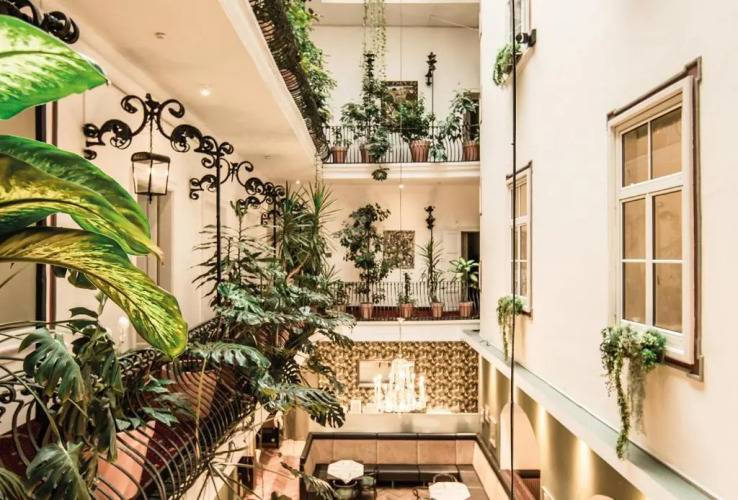 1 фото отеля "Erzherzog Johann Palais Hotel"