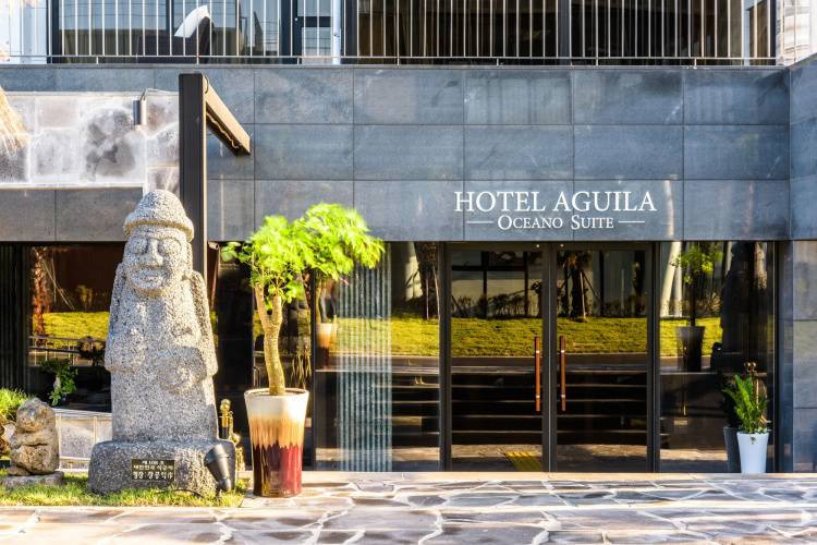 1 фото отеля "Augila Hotel Jeju Oceano Suites"