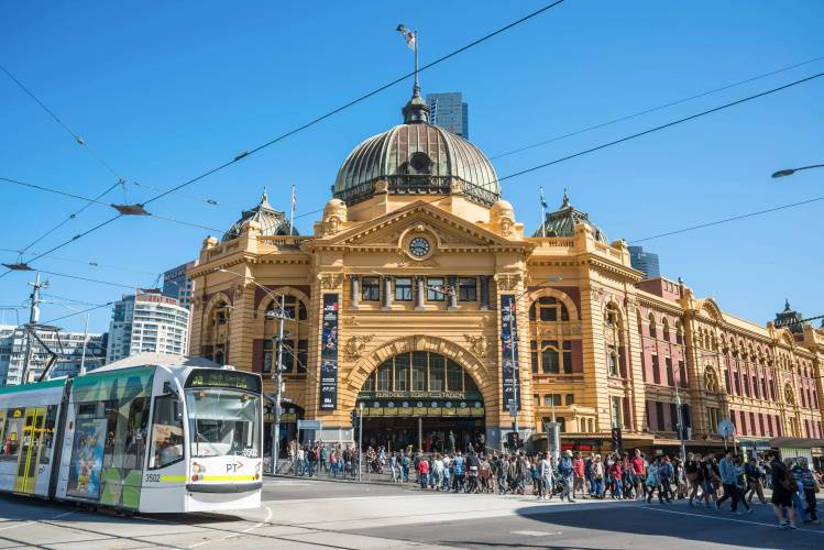 1 фото отеля "The Victoria Hotel Melbourne"