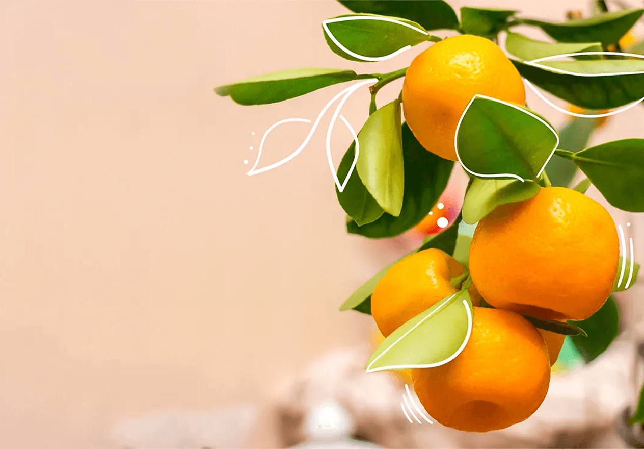 Графический блок "Citrus Mix"