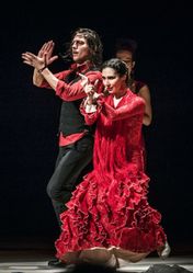 Концерт Flamenco Capriccios в Москве