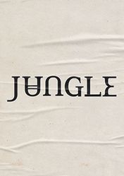 Концерт Jungle в Москве