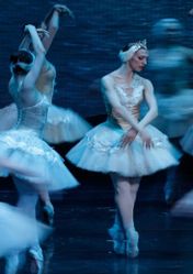 Екатеринбургский театр оперы и балета: Лебединое озеро (Театр оперы и балета) | кэшбэк 5%