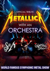 Концерт Metallica show в Волгограде