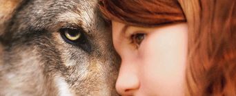 Купить билет на фильм Мой волк в Южно-Сахалинске
