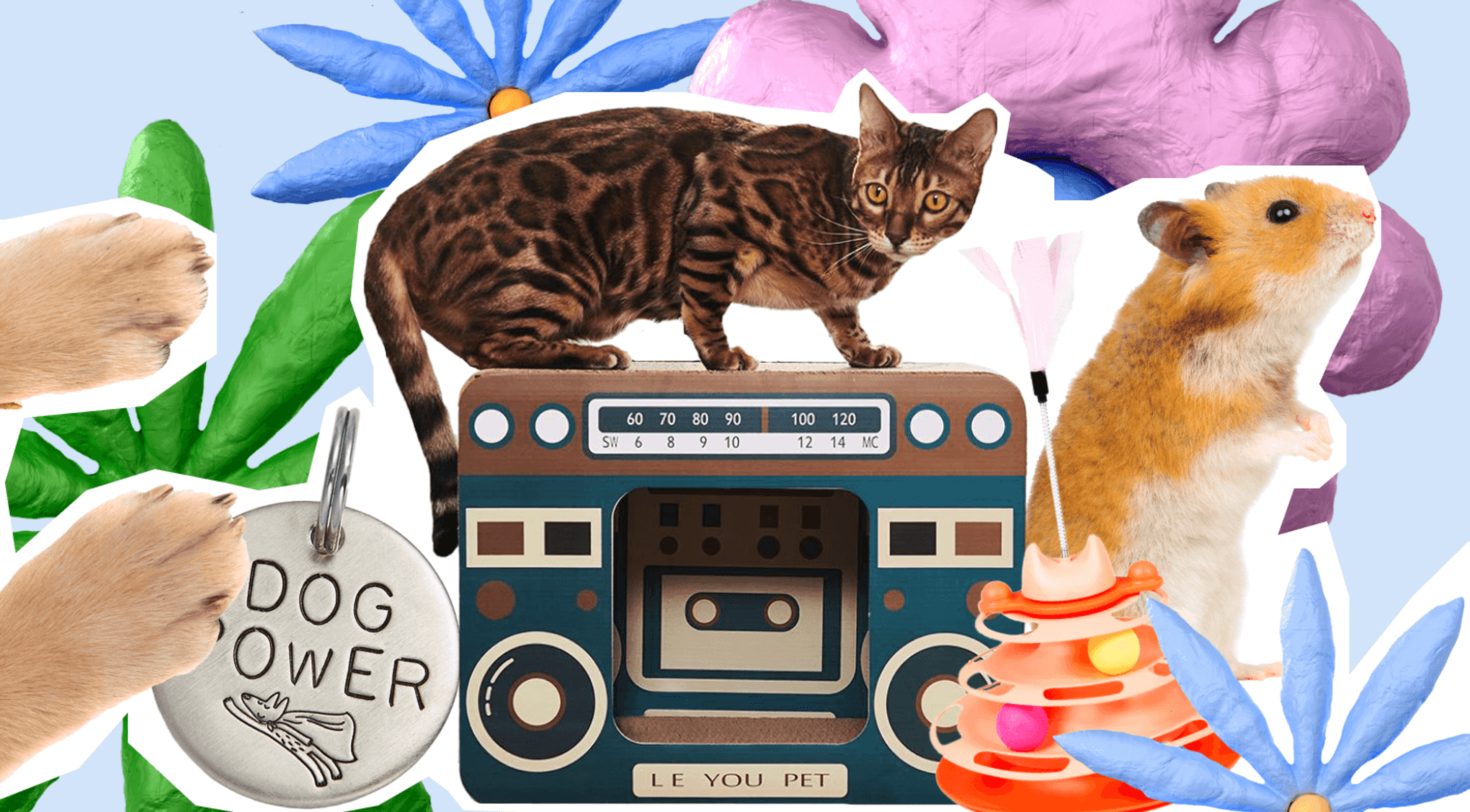 Обложка статьи Где приодеть кота, жука и хомяка: 17 лучших зоомагазинов