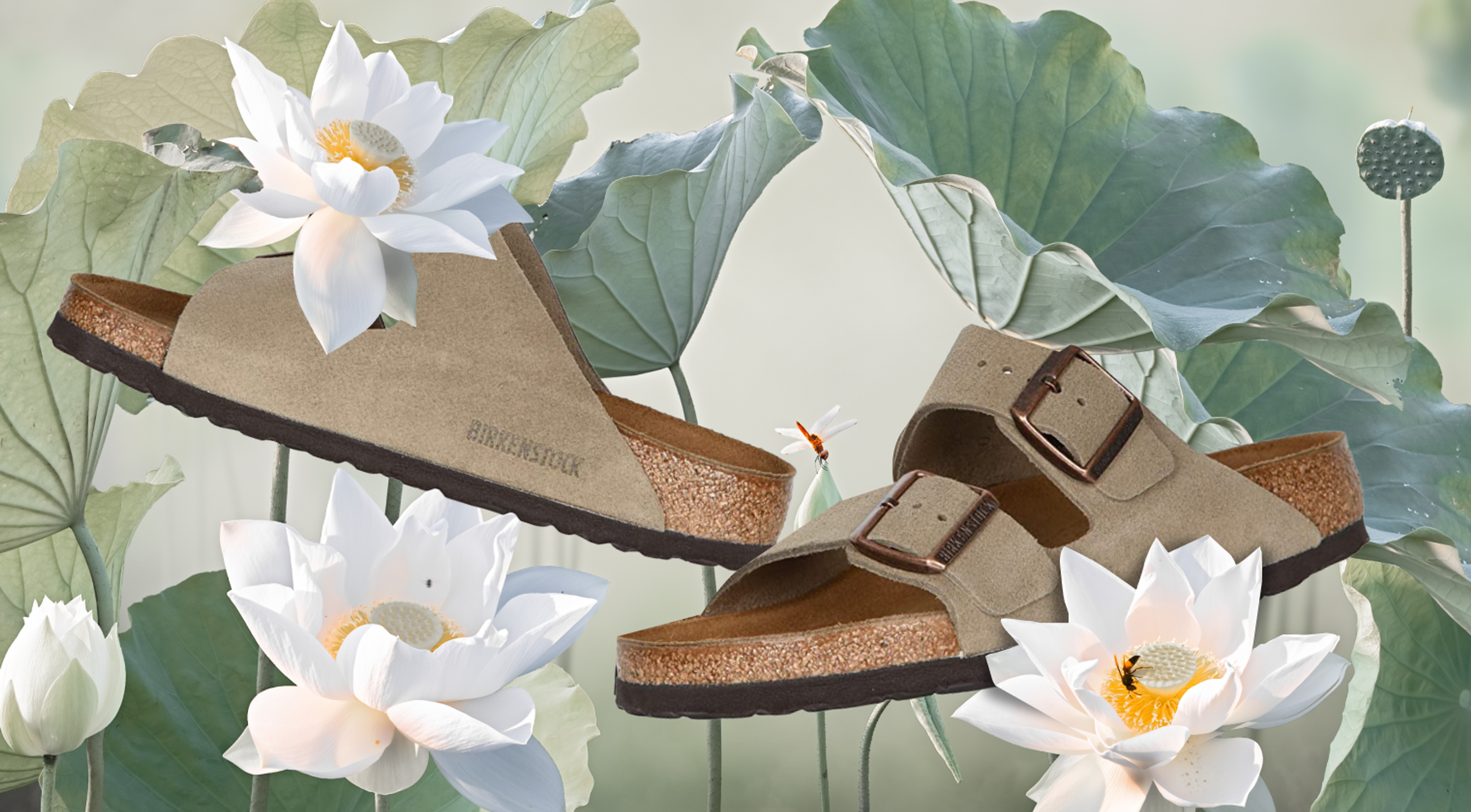 Культовая вещь: сандалии Birkenstock Arizona