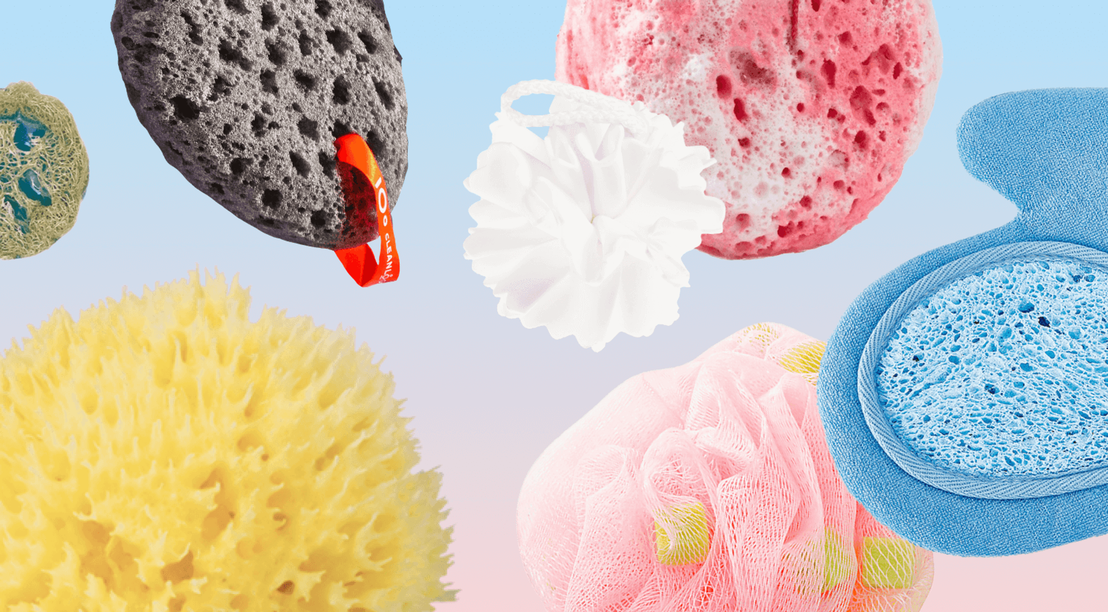 15 мочалок нового поколения — из морской губки, с пчелиными сотами и кубиками мыла