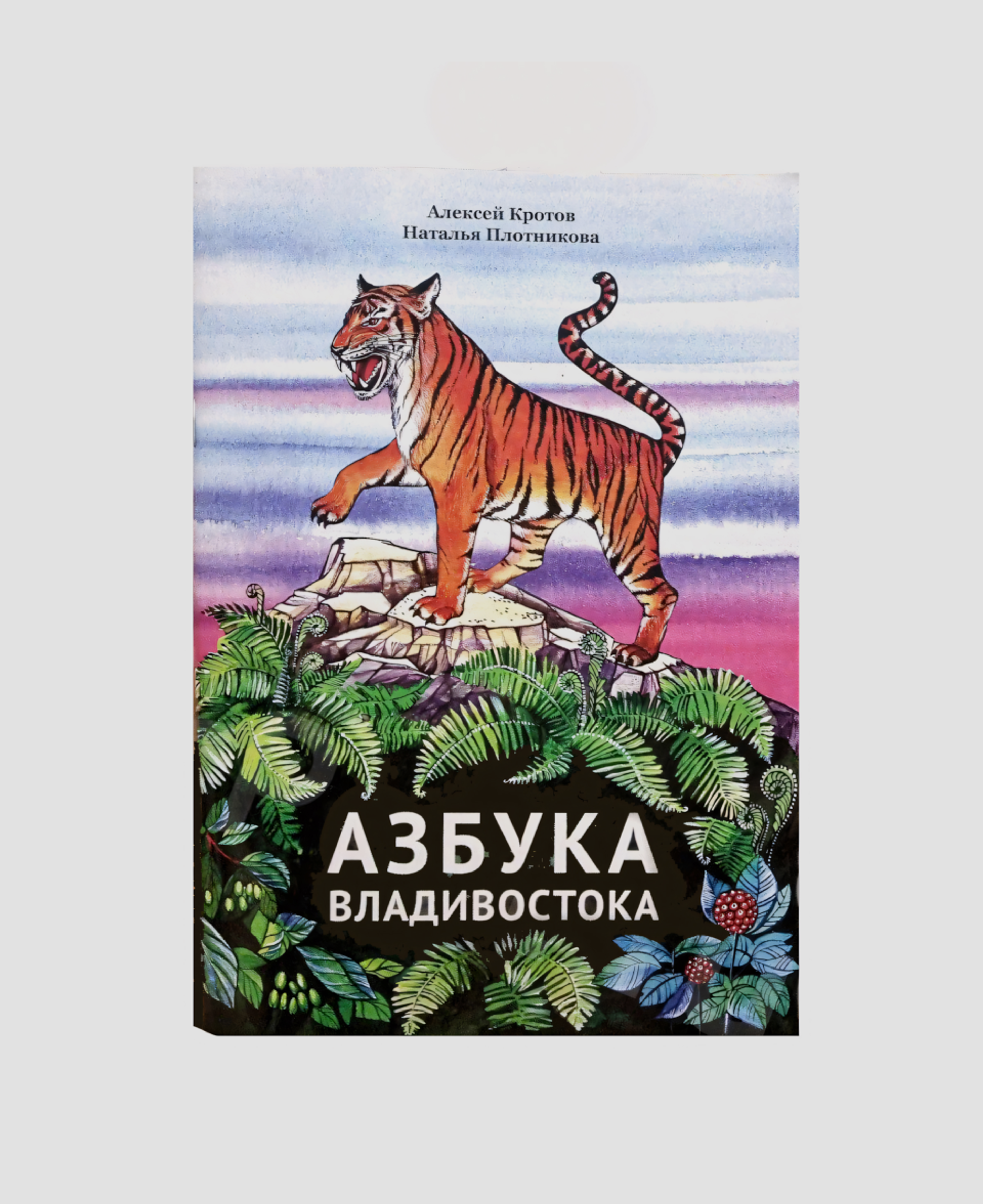 Книга «Азбука Владивостока», Алексей Кротов и Наталья Плотникова