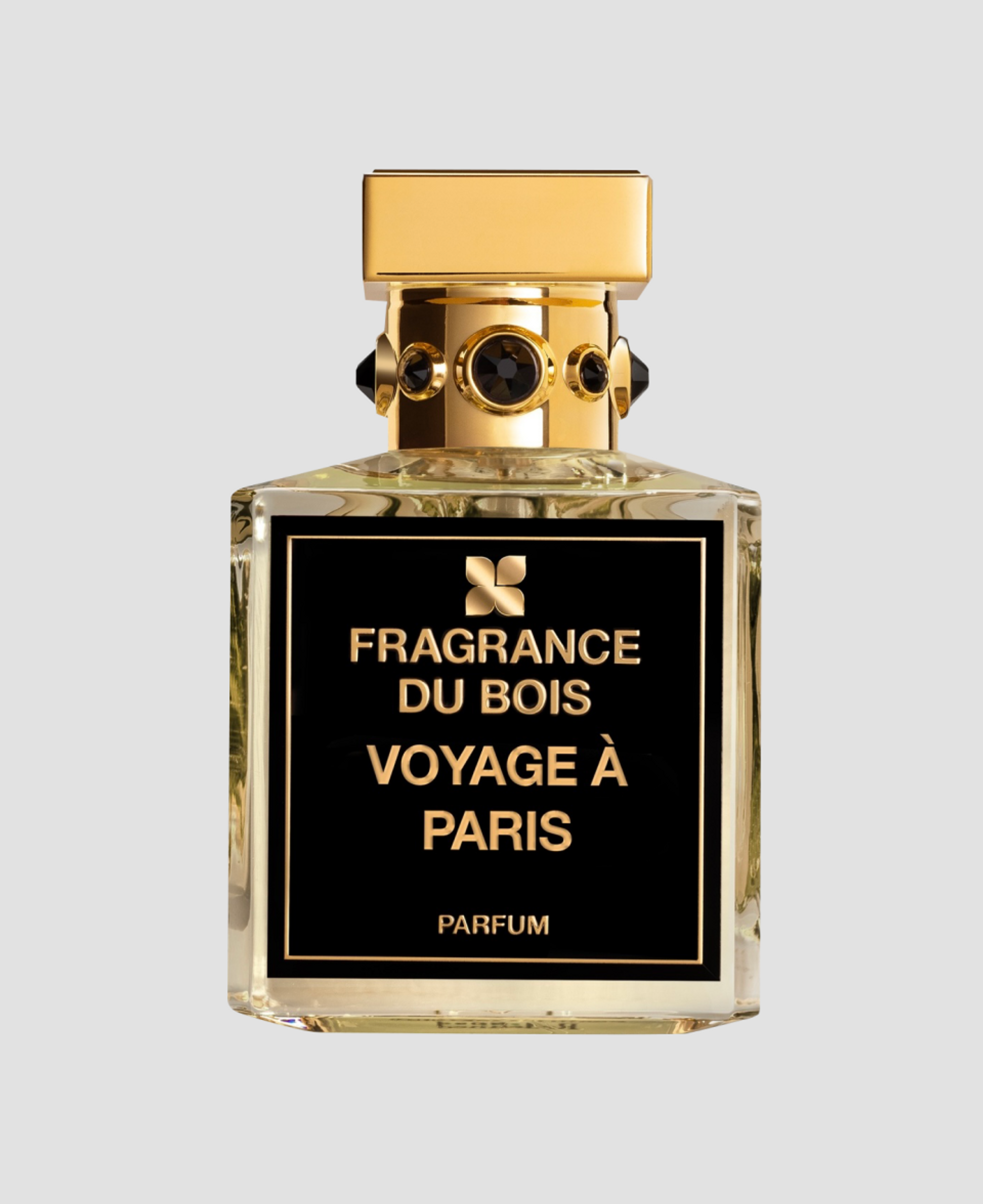 Парфюмерная вода Fragrance du Bois Voyage à Paris