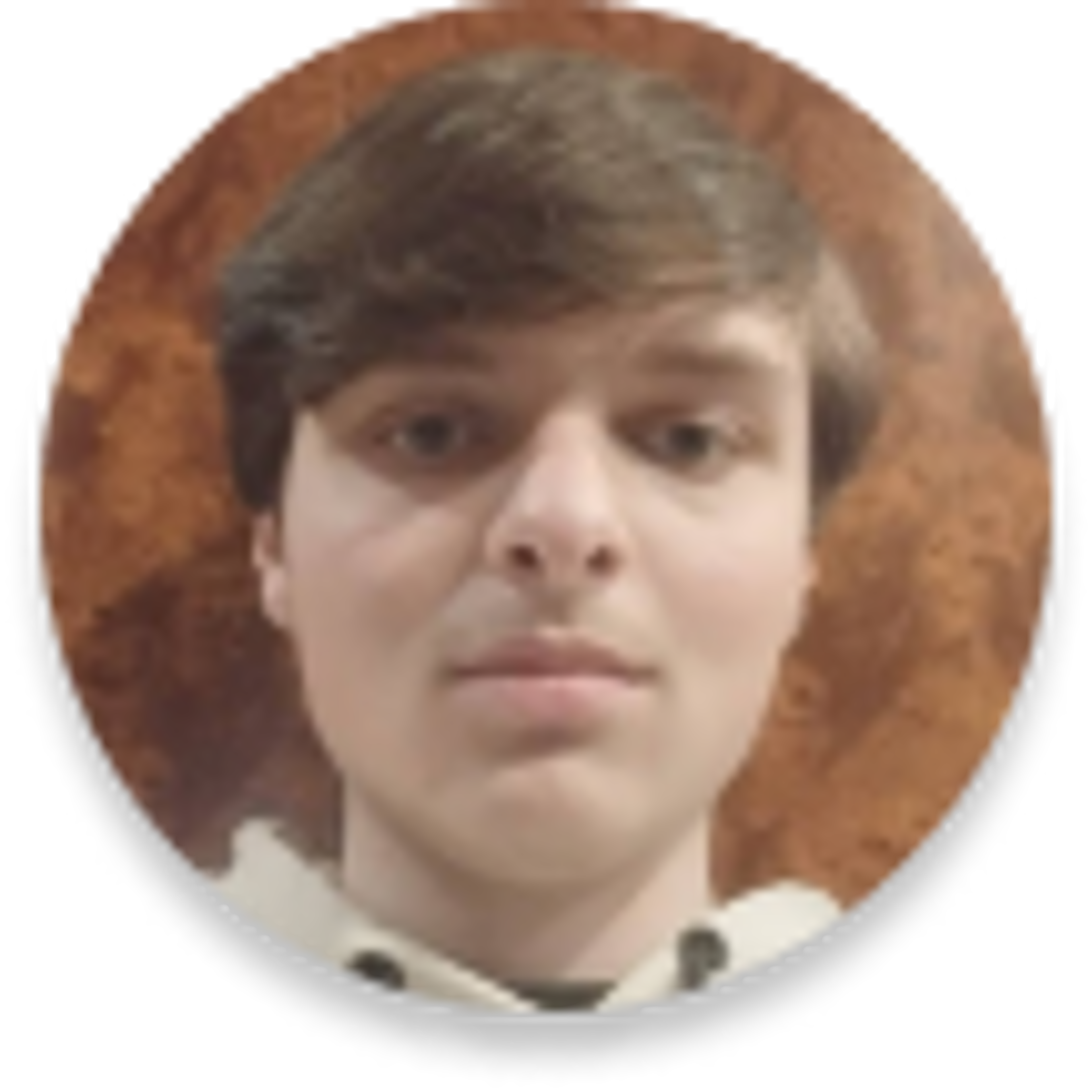 Аватар автора Бронислав, 15 лет