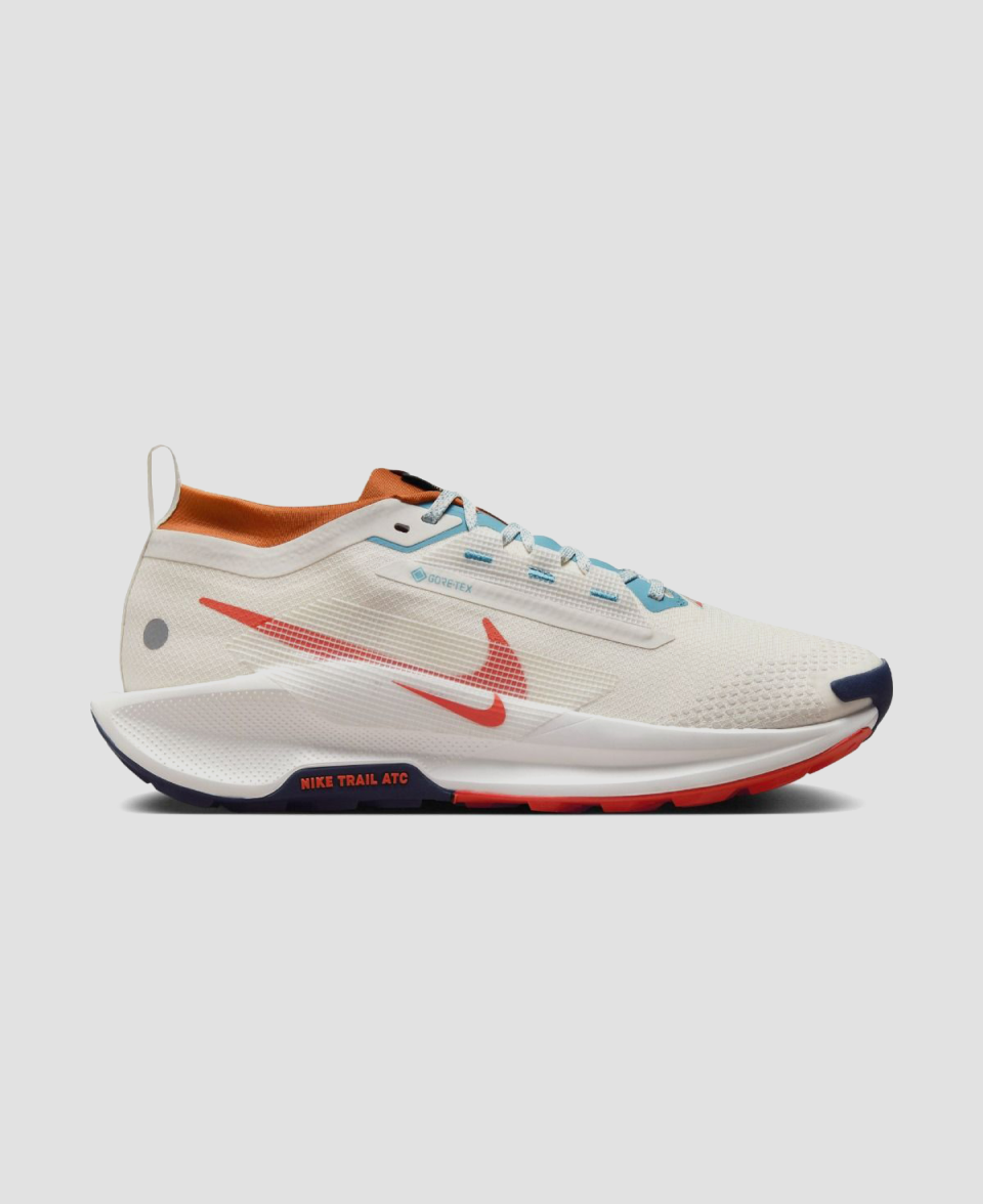 Кроссовки Nike Pegasus Trail 5 Gore-Tex