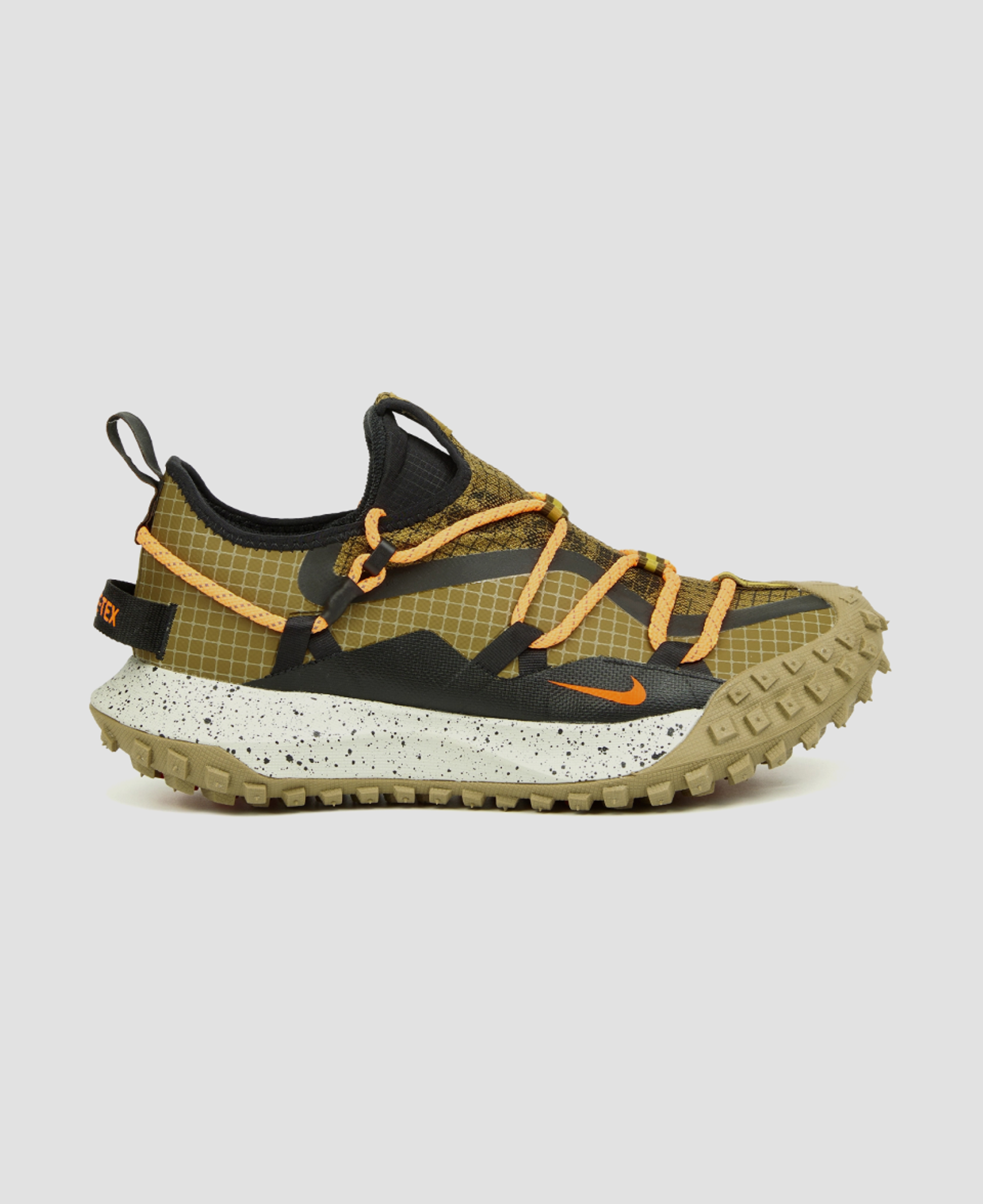 Кроссовки Nike ACG Mountain Fly Low GTX SE