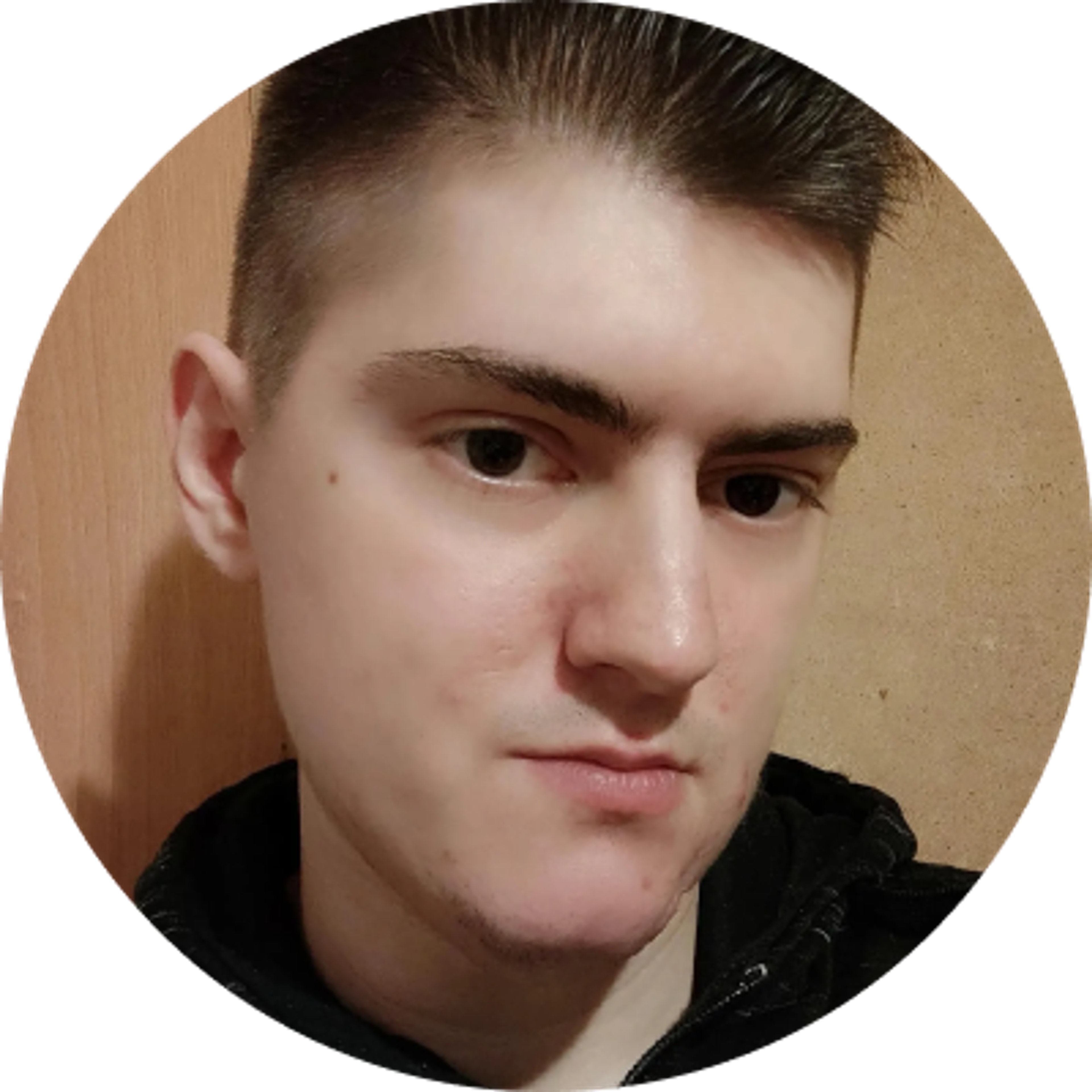 Аватар автора Анатолий Романенко