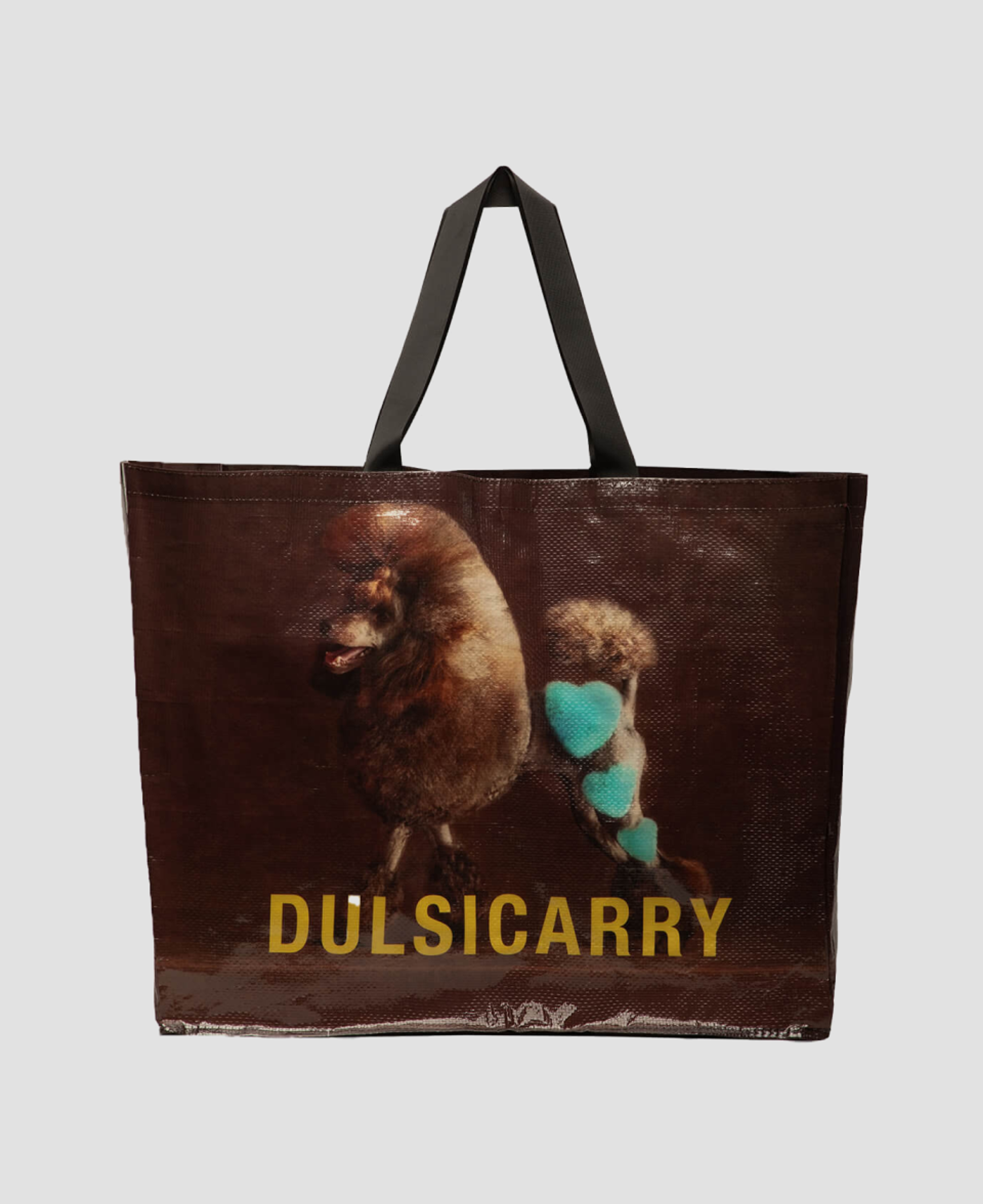 Сумка Dulsicarry