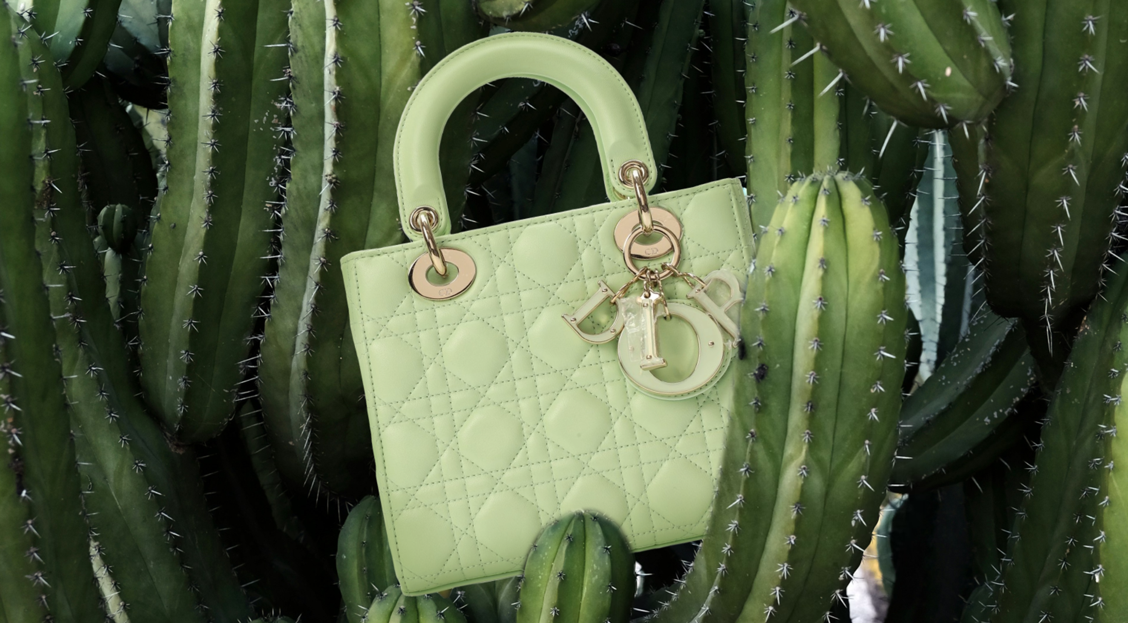 Почему сумка Lady Dior стала культовой и при чем тут принцесса Диана