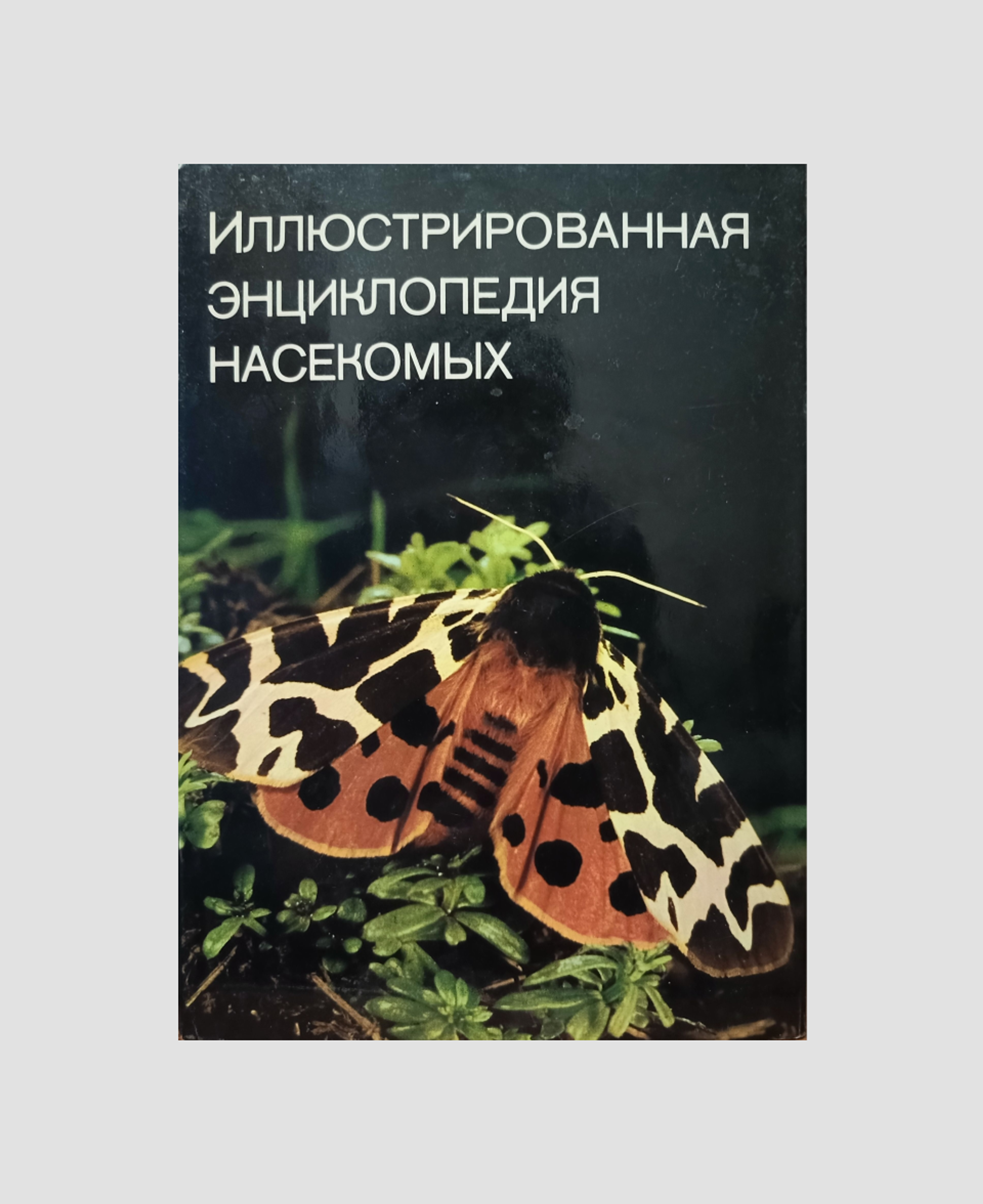 Книга «Иллюстрированная энциклопедия насекомых»