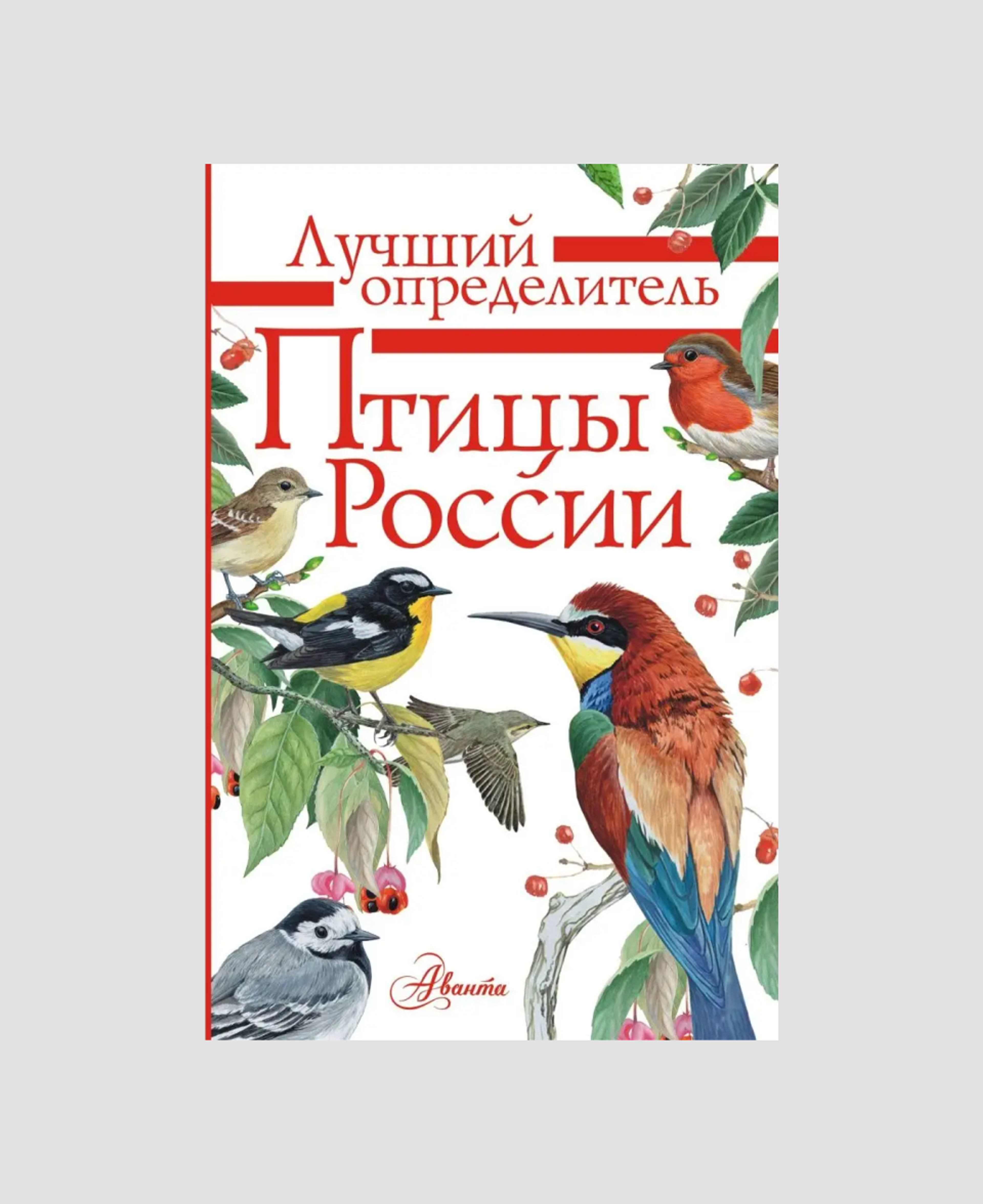 Определитель «Птицы России», «АСТ»