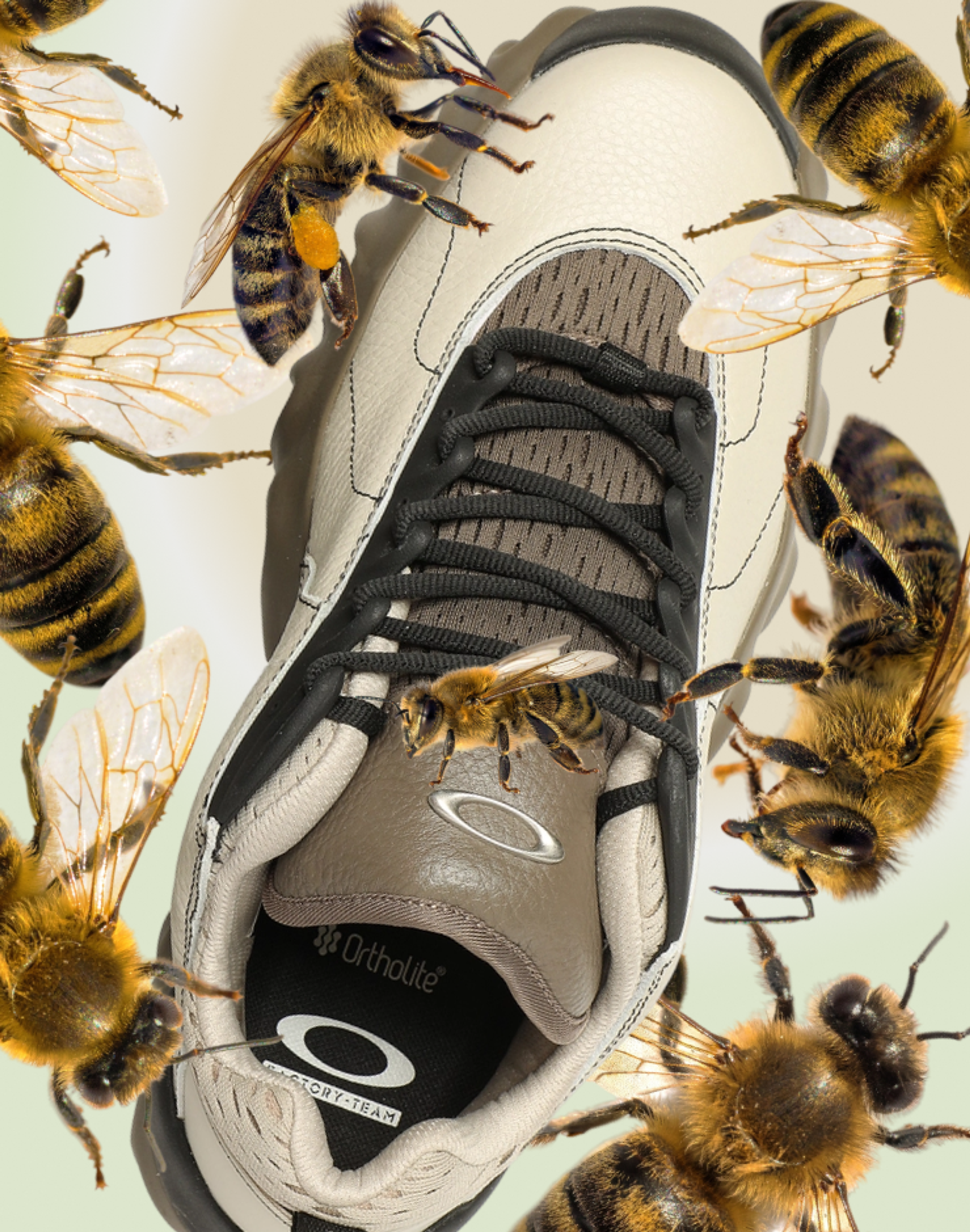Обложка статьи Кроссовки июня: еще одни сникерины Puma, гоночные adidas и беговые Mizuno