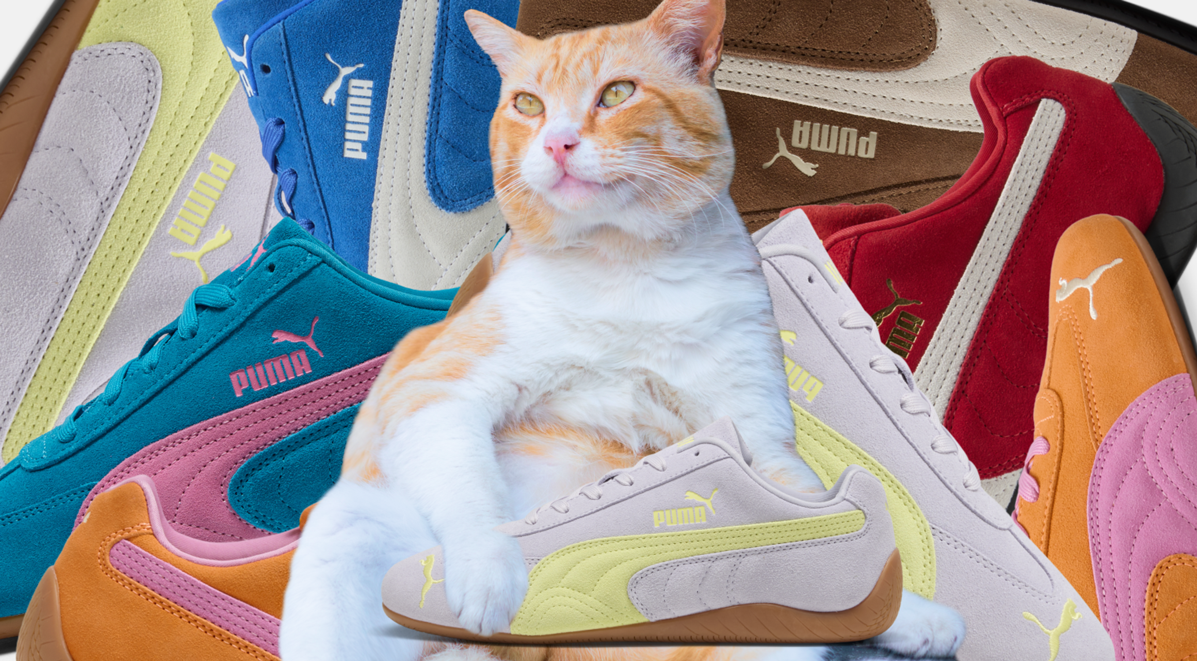 Все Puma Speedcat, которые можно купить в России
