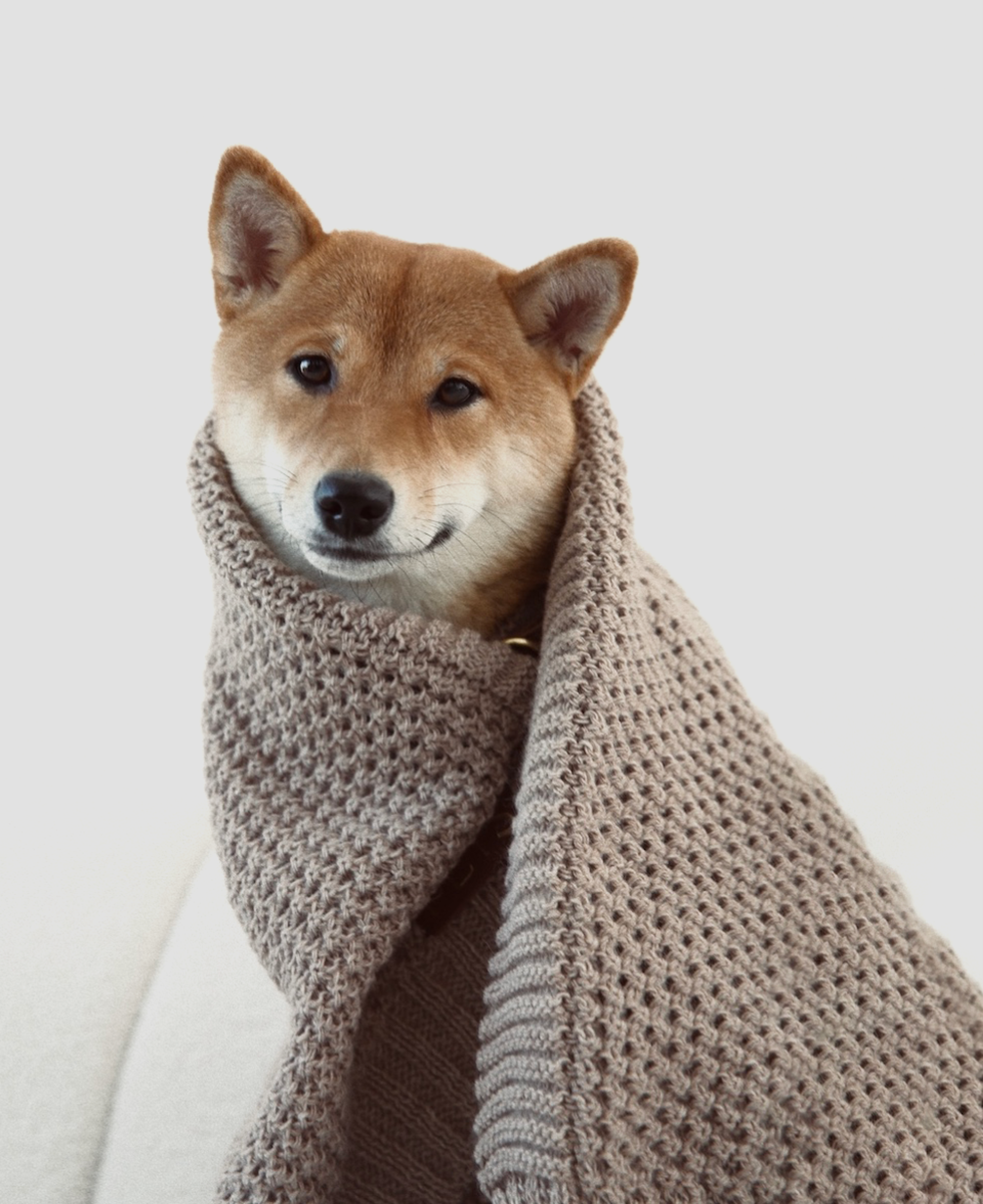 Плед вязаный For Pets 