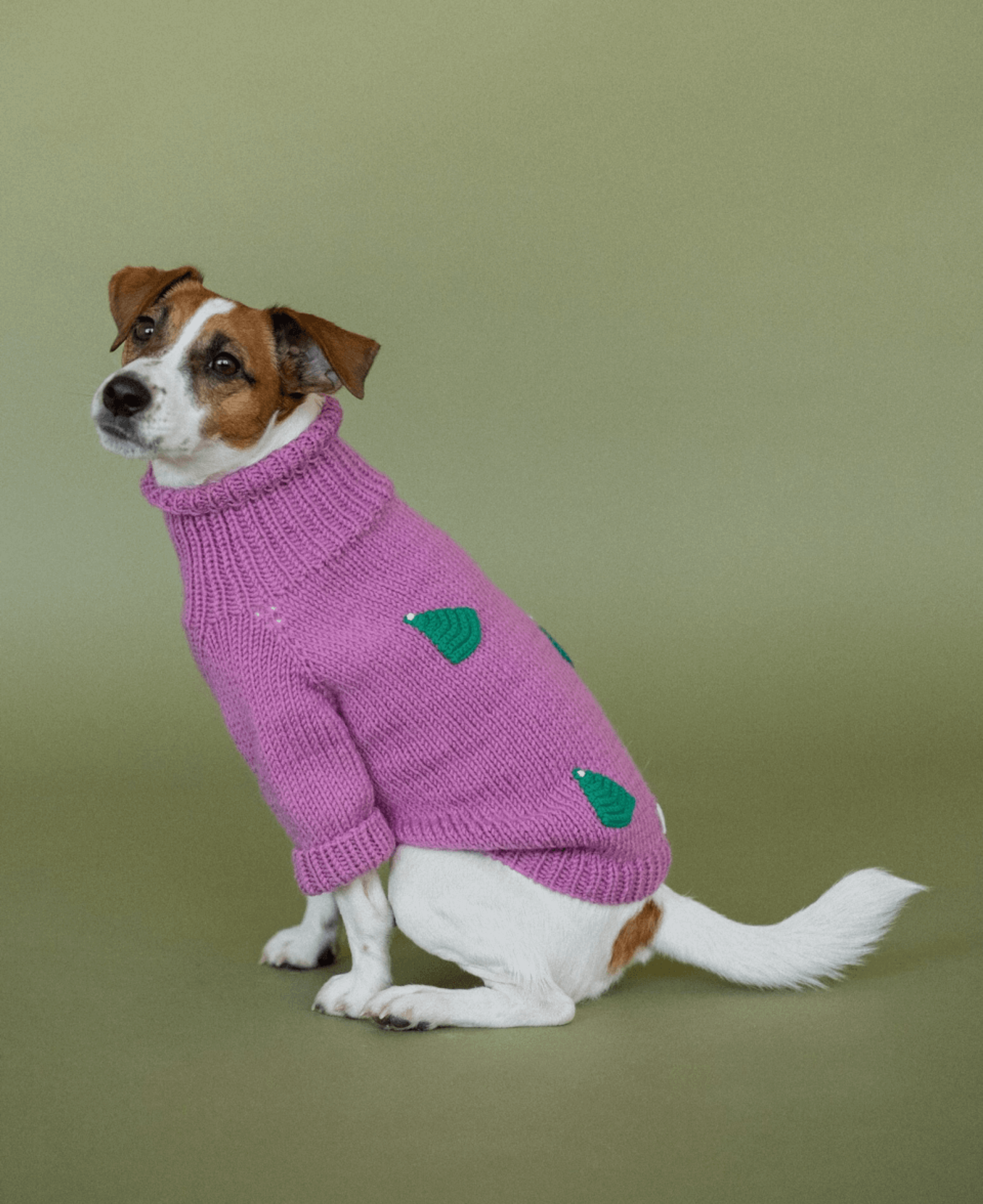 Акриловый свитер Fosy for Dogs 